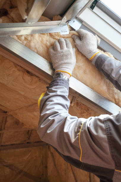 Best Cellulose Insulation in South Point, OH